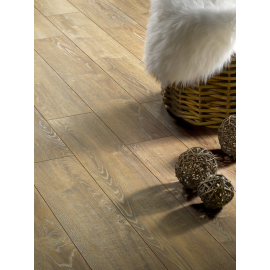 Balearic Oak